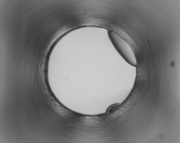 X0000116581138201001211259