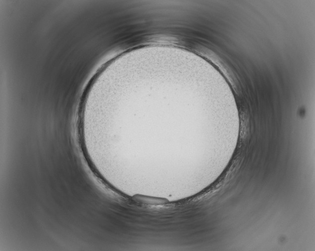 X0000116581139201001211259