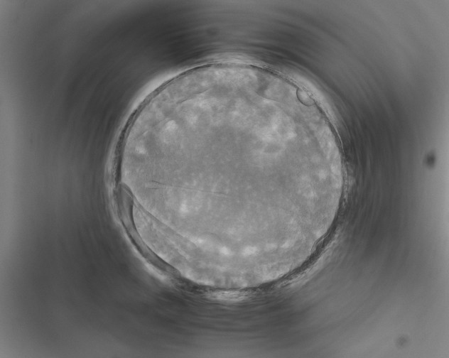 X0000116581141201001211259