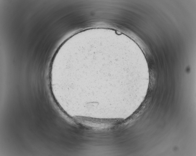 X0000116581142201001211259