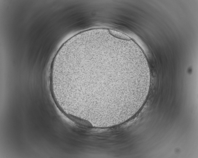 X0000116581143201001211259
