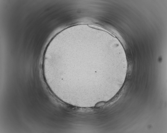 X0000116581146201001211259