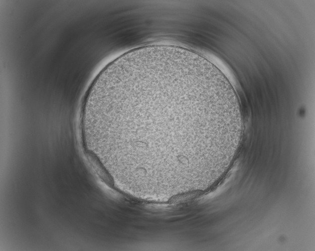 X0000116581149201001211259