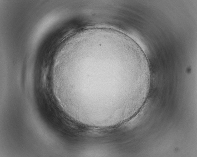 X0000116581150201001211259