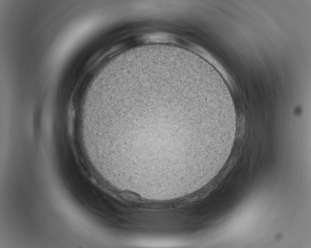 X0000116581151201001211259
