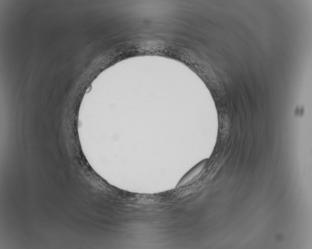 X0000116581153201001211258