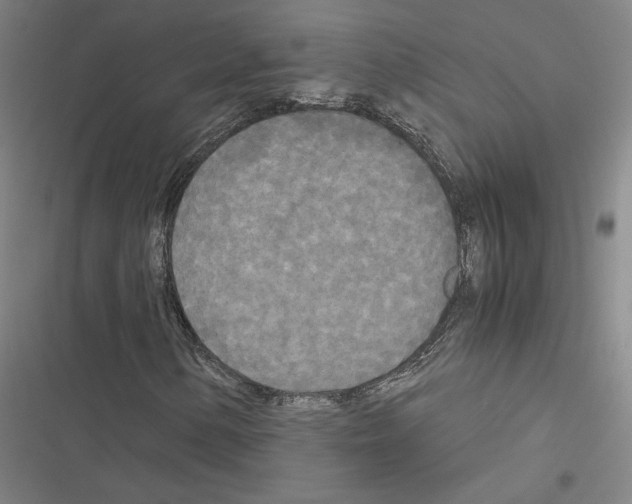X0000116581154201001211258