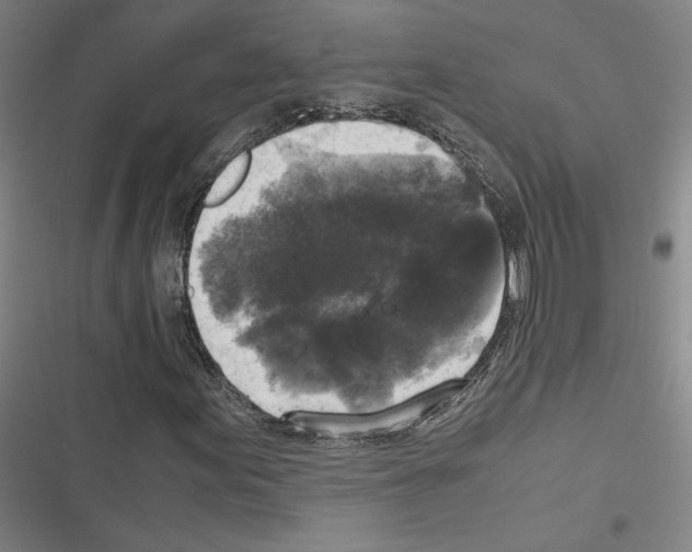 X0000116581155201001211258