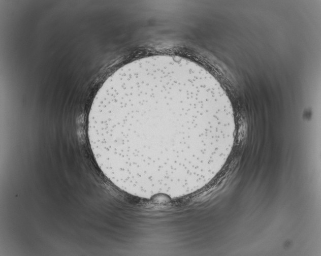 X0000116581156201001211258