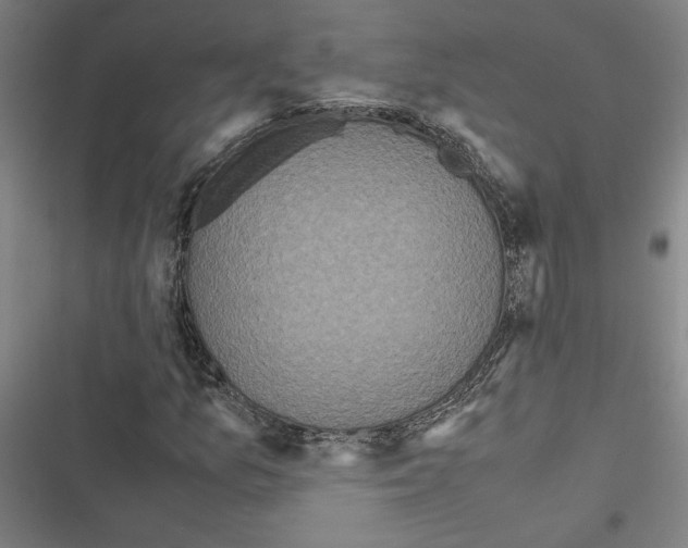 X0000116581157201001211258