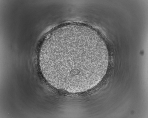 X0000116581159201001211258