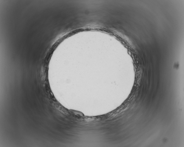 X0000116581160201001211258