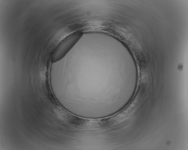 X0000116581161201001211258