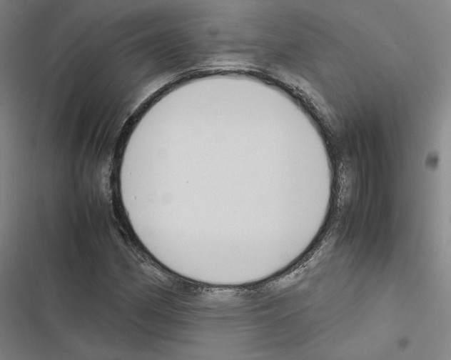 X0000116581162201001211258