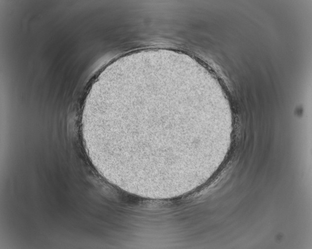 X0000116581163201001211258