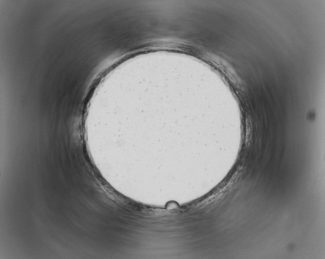 X0000116581164201001211258