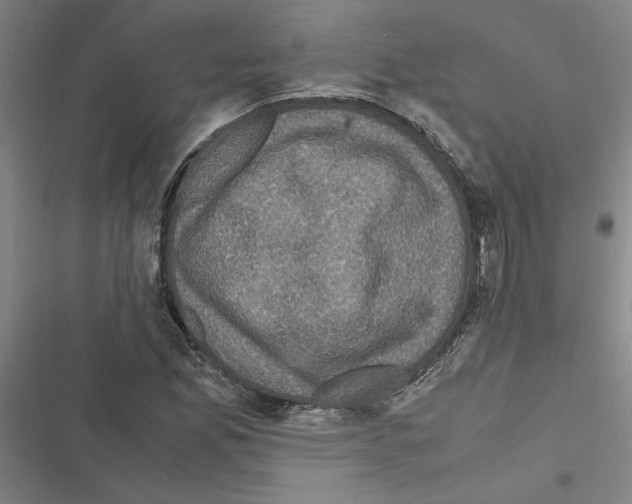 X0000116581165201001211258