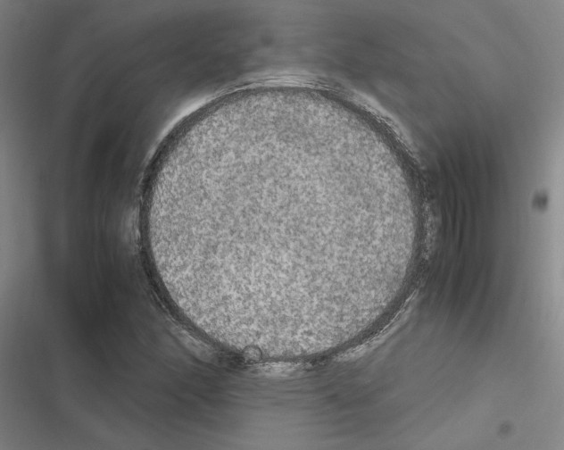 X0000116581166201001211258