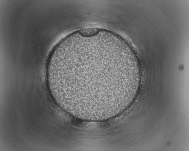 X0000116581167201001211258