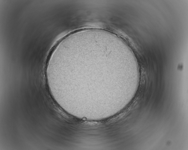 X0000116581168201001211258