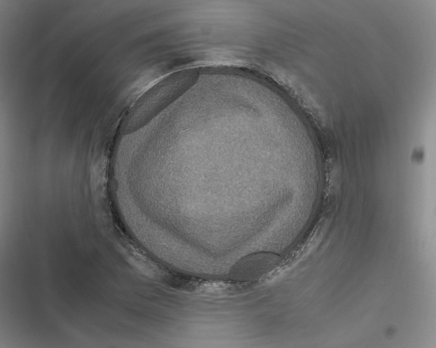 X0000116581169201001211258
