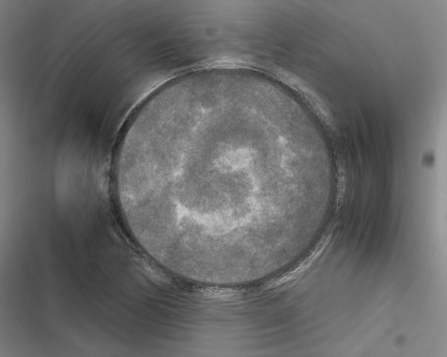 X0000116581170201001211258