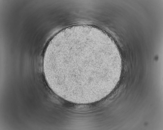 X0000116581171201001211258