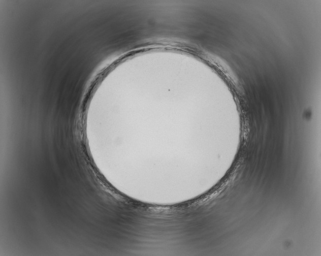 X0000116581172201001211258