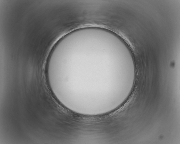 X0000116581173201001211258