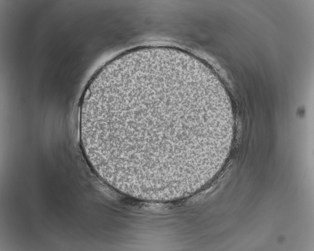 X0000116581175201001211258