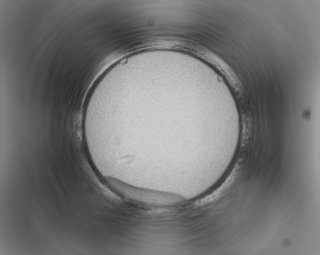 X0000116581178201001211258