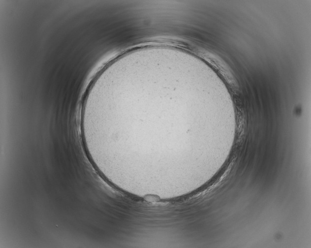 X0000116581180201001211258