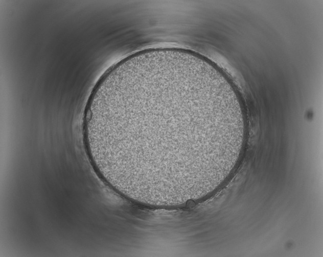 X0000116581181201001211258