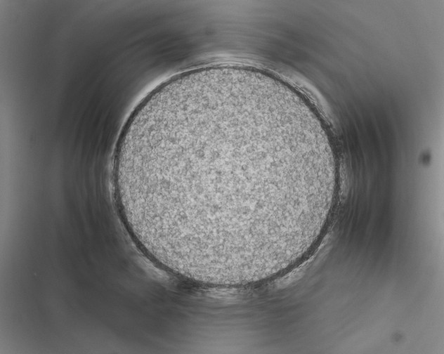 X0000116581182201001211258