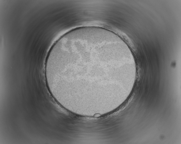 X0000116581184201001211258