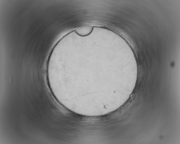X0000116581187201001211258