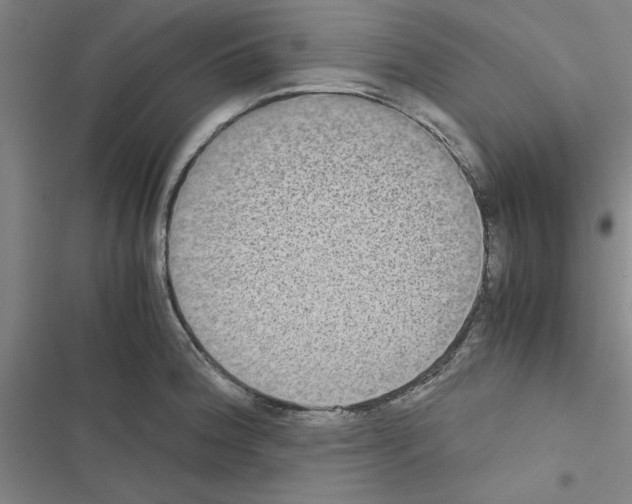 X0000116581188201001211258