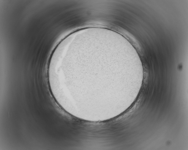 X0000116581192201001211258