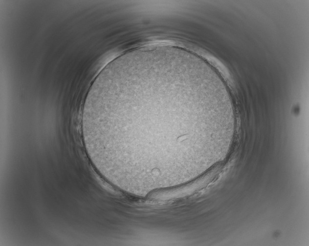 X0000116581193201001211258
