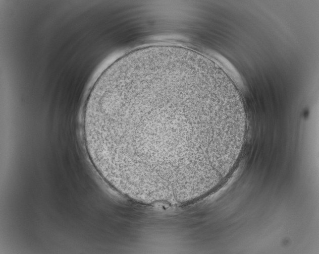 X0000116581196201001211258
