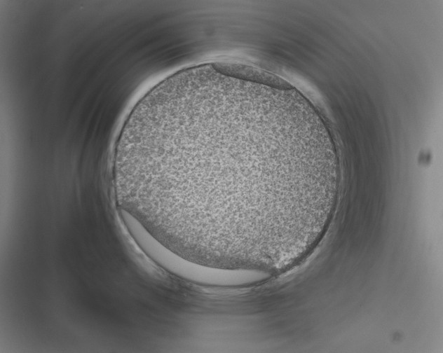 X0000116581200201001211258