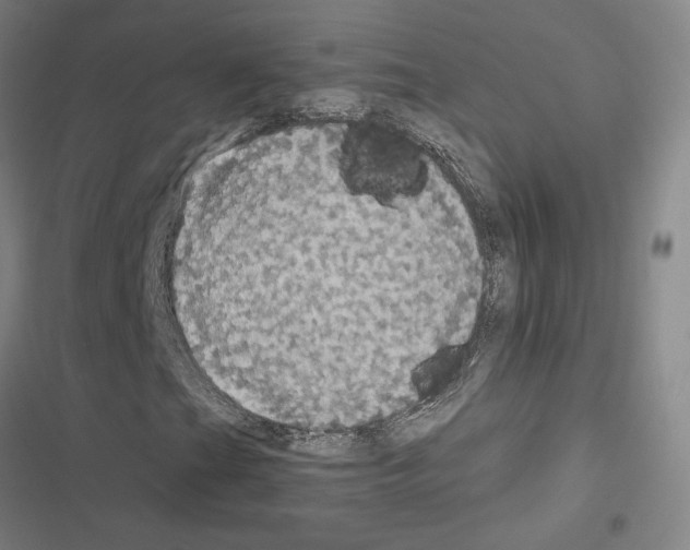 X0000116581201201001211257