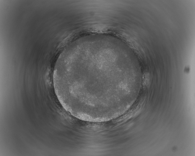X0000116581202201001211257