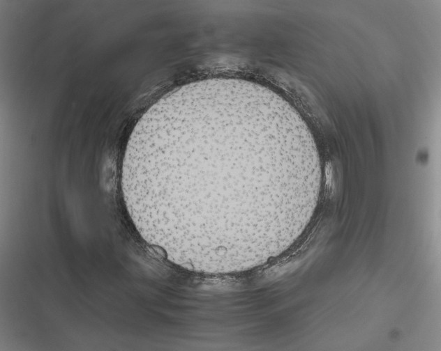 X0000116581203201001211257