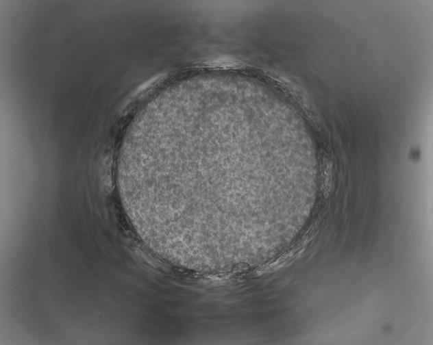 X0000116581205201001211257