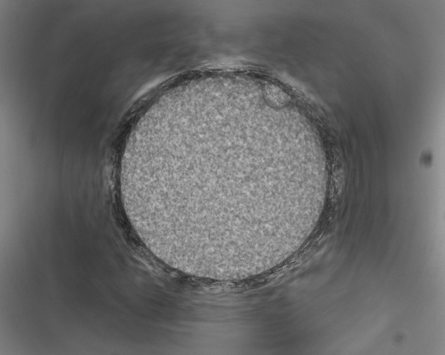 X0000116581206201001211257