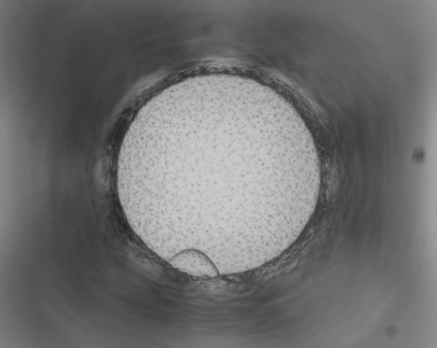 X0000116581207201001211257
