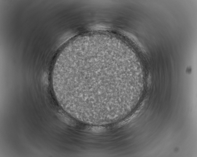 X0000116581209201001211257