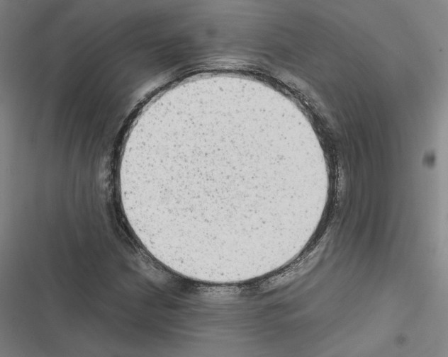 X0000116581210201001211257