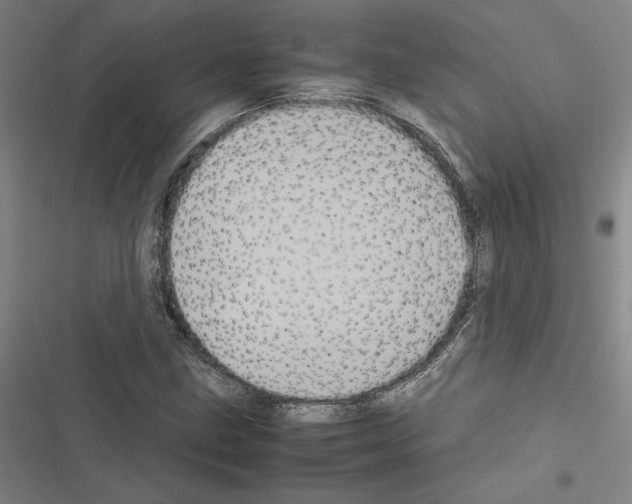 X0000116581211201001211257